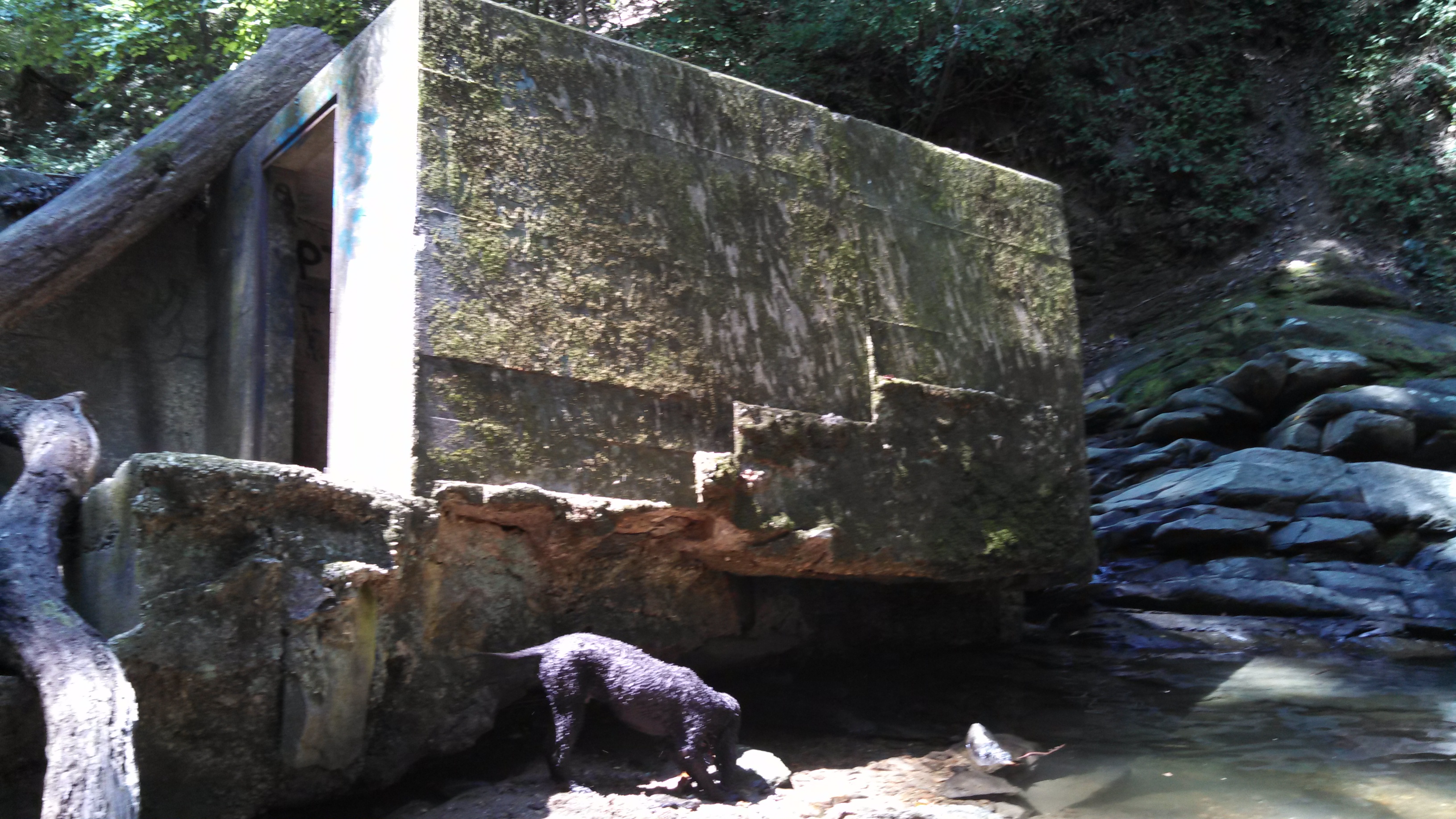 My Favorite Photos That Tell A Story